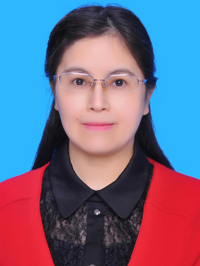王亚丽