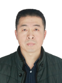 王力